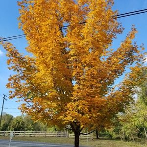 Meet your Posher, Stephany